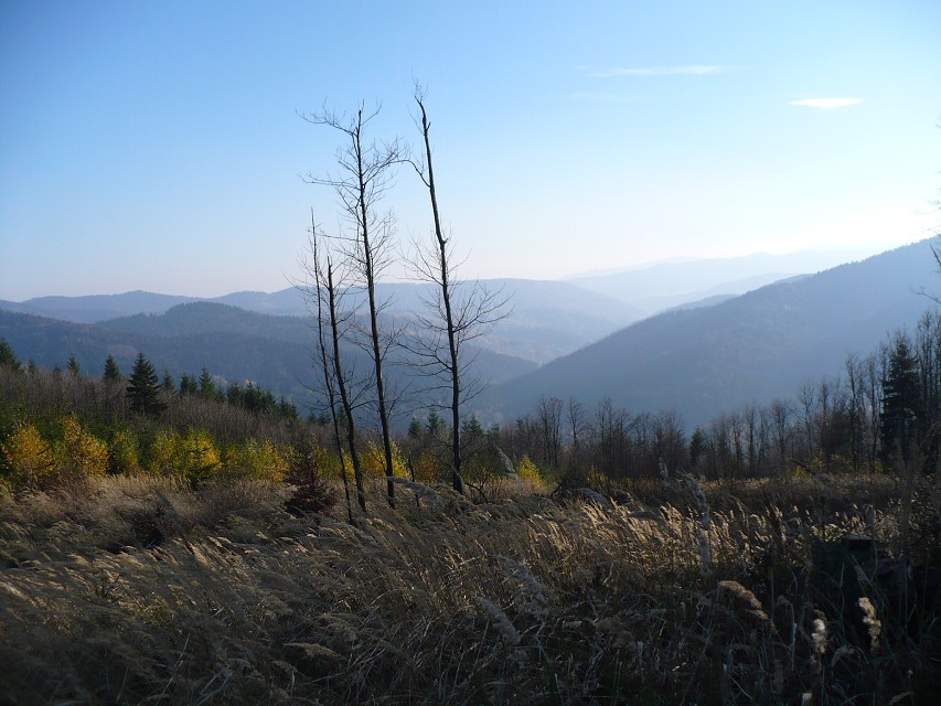 img00044.jpg