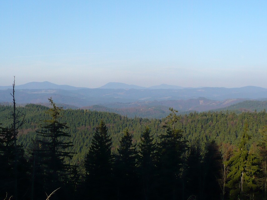 img00045.jpg