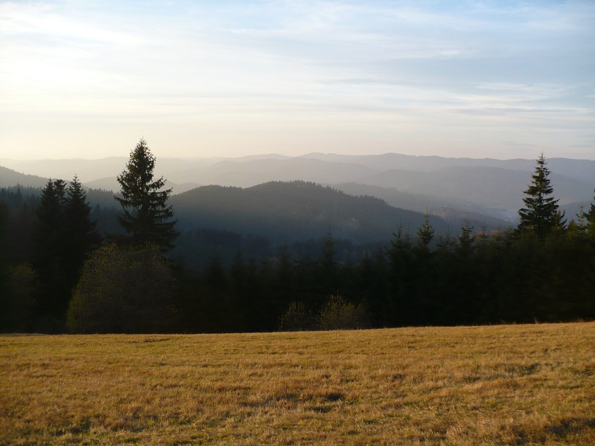 img00051.jpg