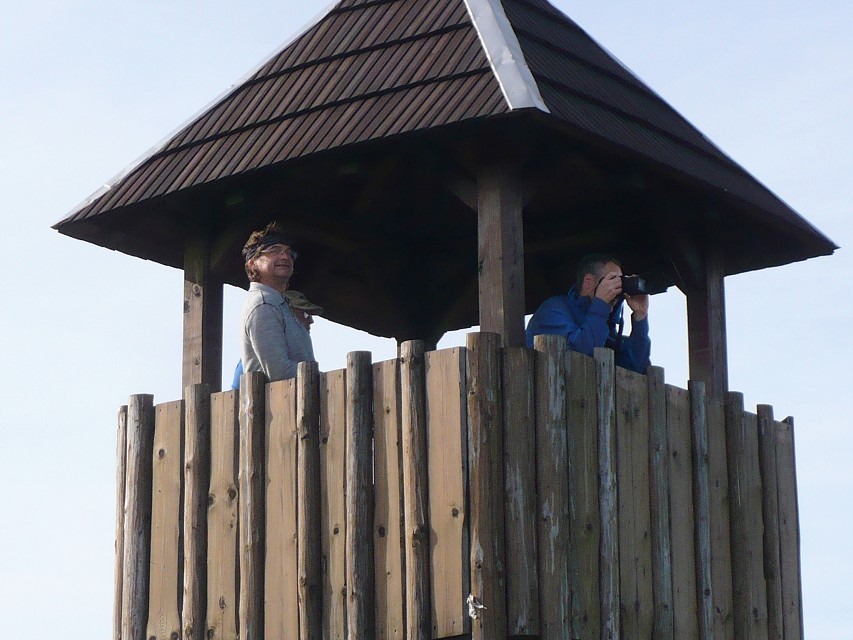 img00068.jpg