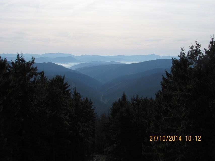 img00071.jpg