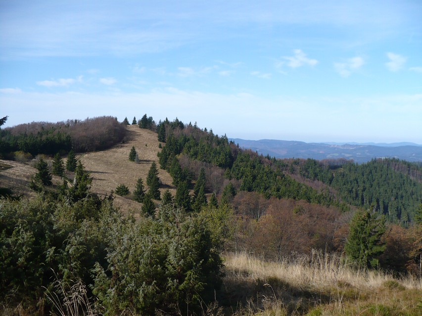 img00076.jpg