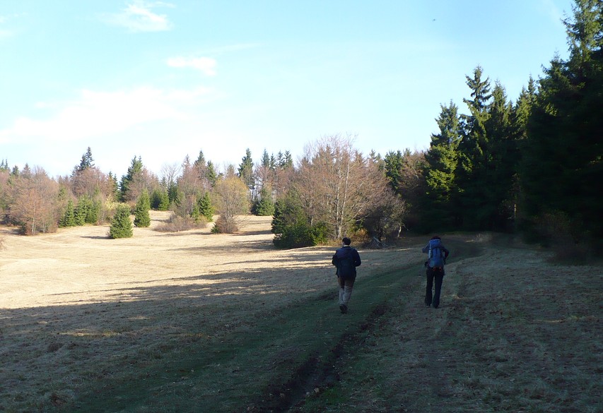 img00084.jpg