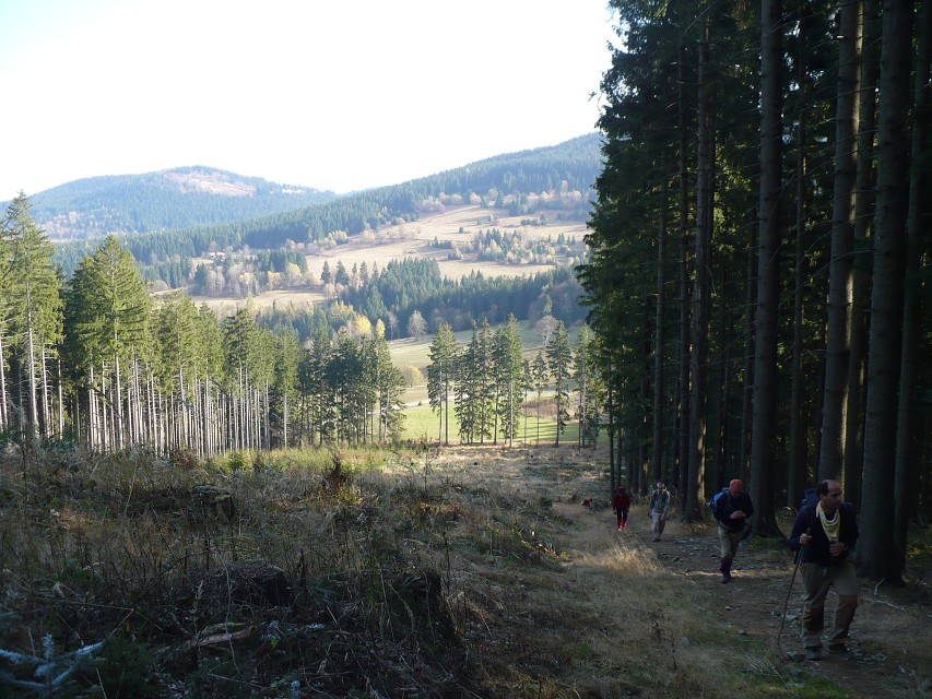 img00091.jpg