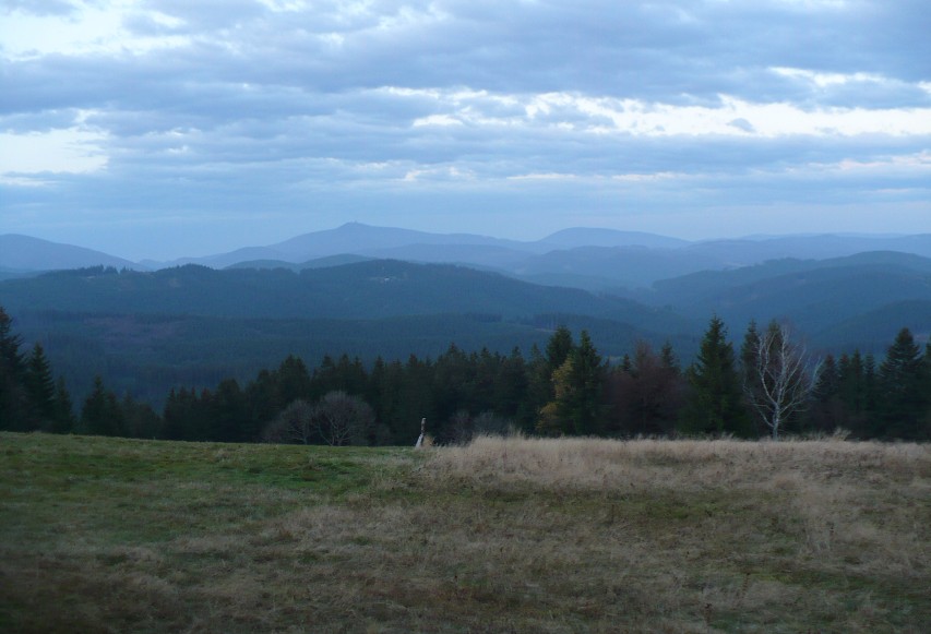 img00101.jpg