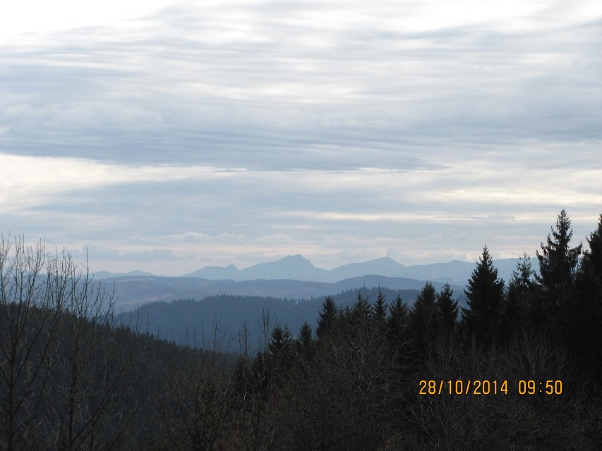 img00108.jpg