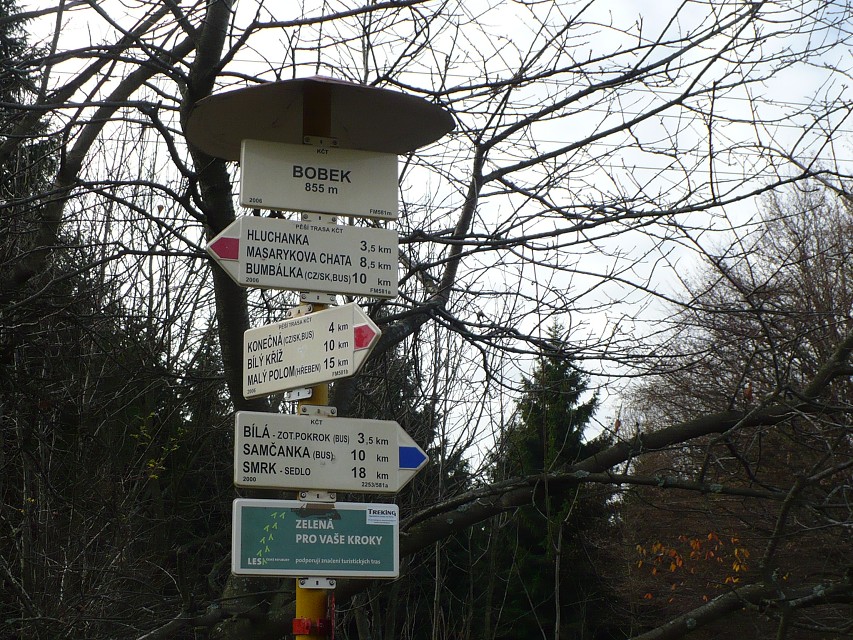 img00109.jpg