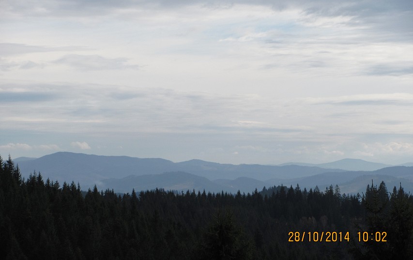 img00111.jpg