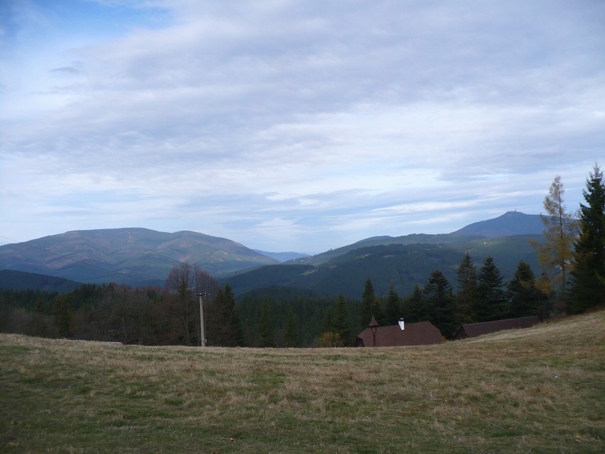 img00113.jpg
