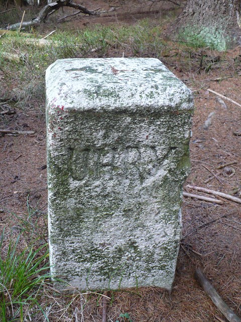 img00116.jpg