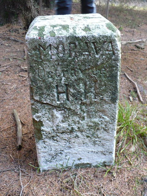 img00117.jpg