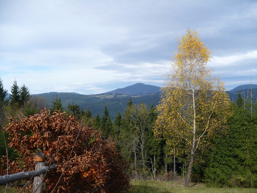 img00121.jpg