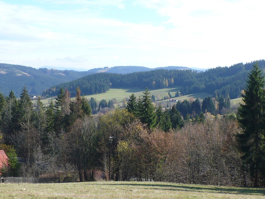 img00125.jpg