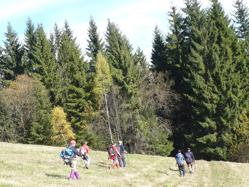 img00126.jpg