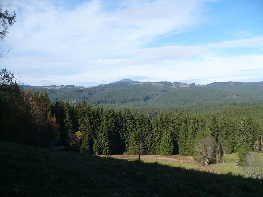 img00127.jpg