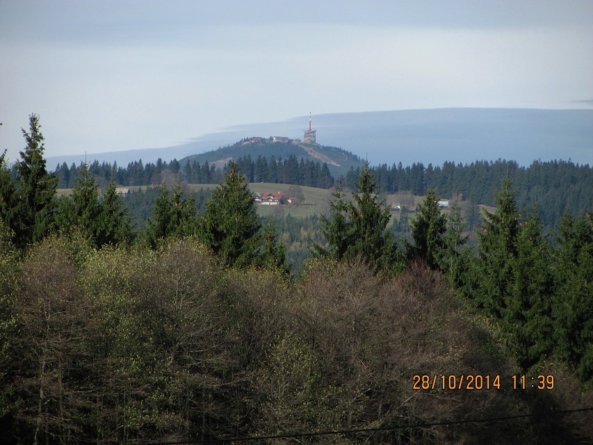 img00131.jpg