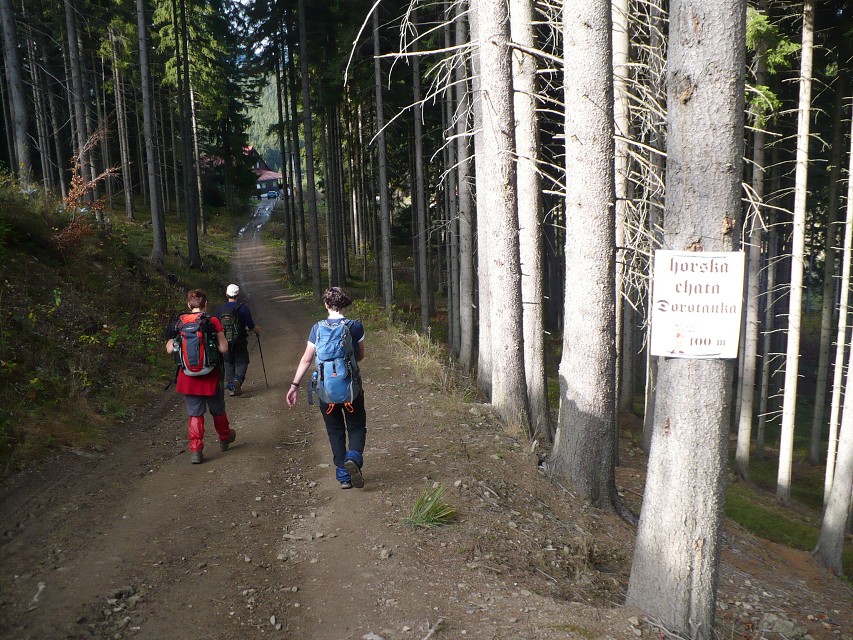 img00132.jpg