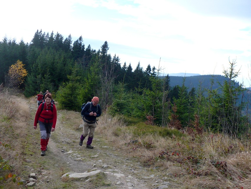 img00139.jpg