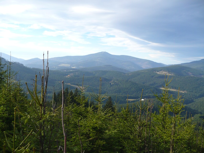 img00140.jpg