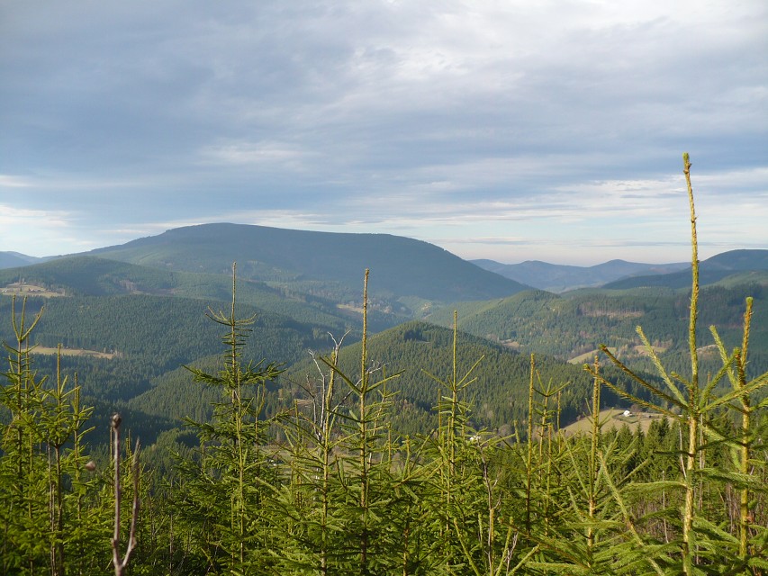 img00141.jpg
