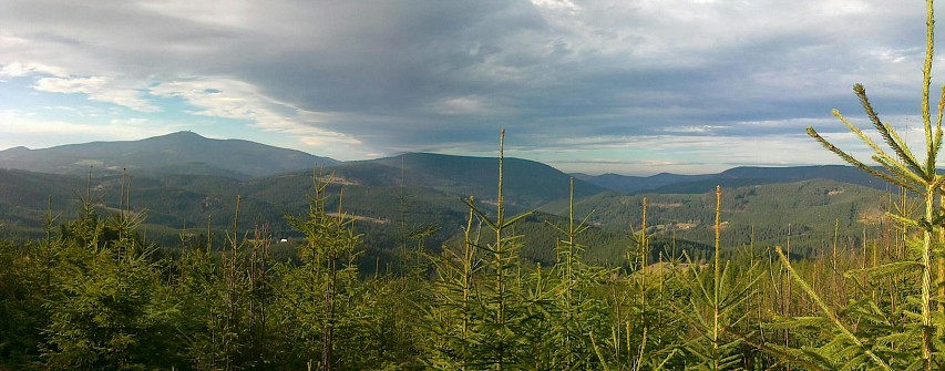 img00142.jpg