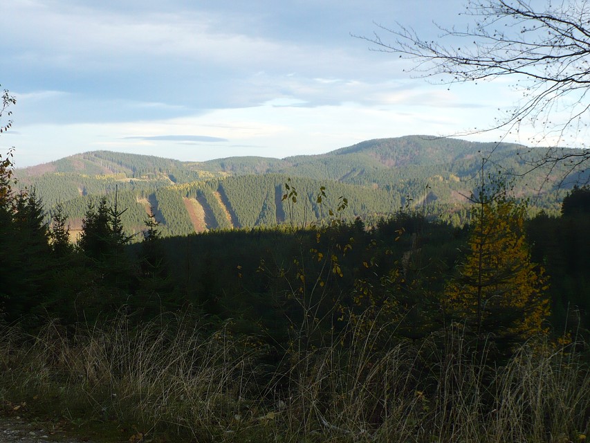 img00143.jpg