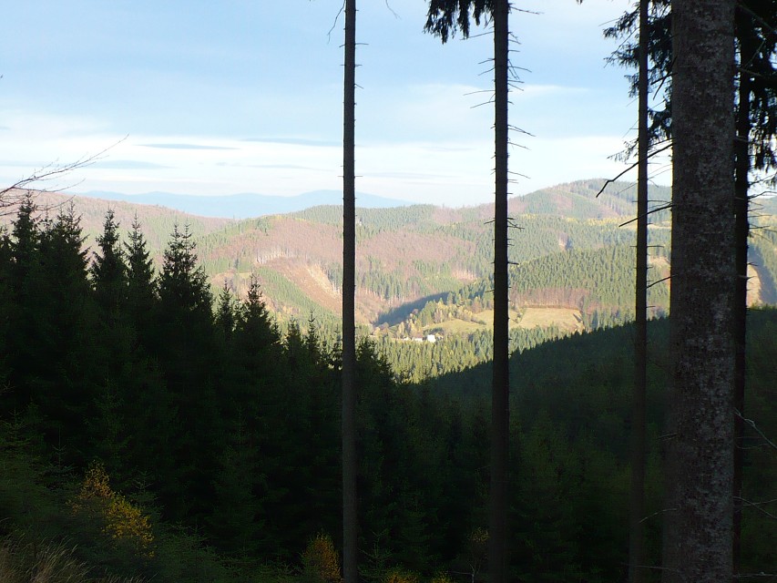 img00144.jpg