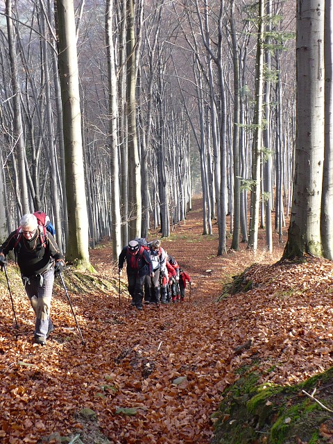 img00011.jpg
