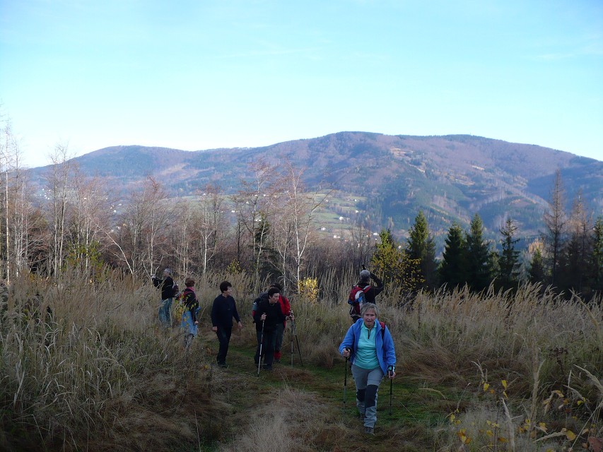 img00013.jpg