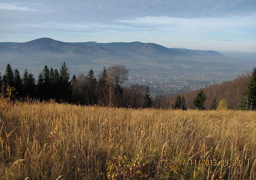 img00020.jpg