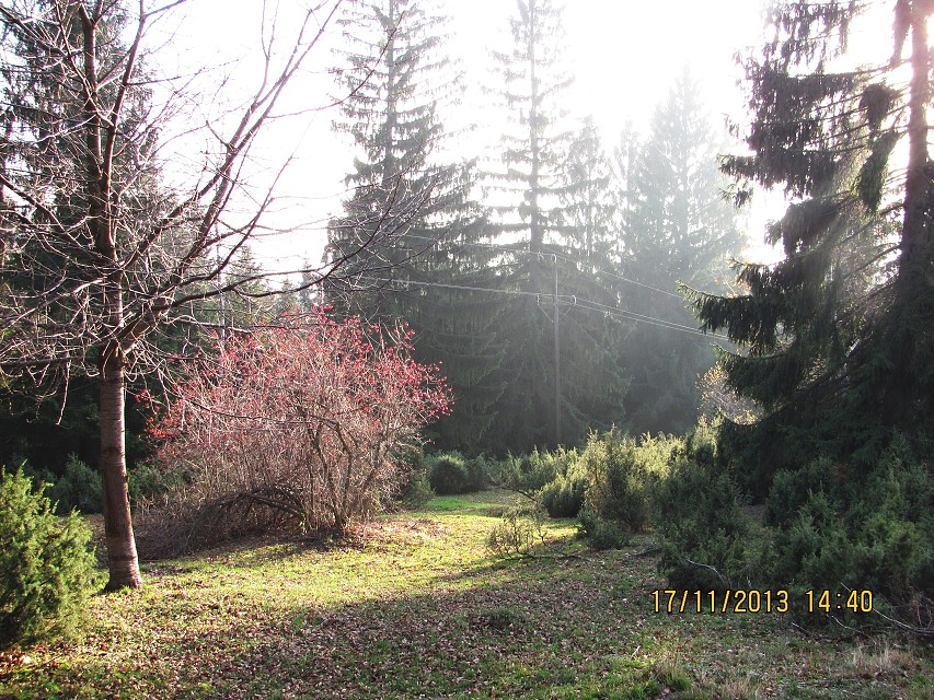 img00043.jpg