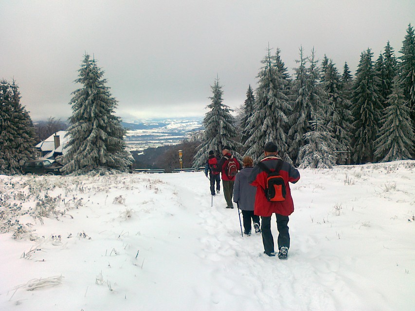 img00004.jpg