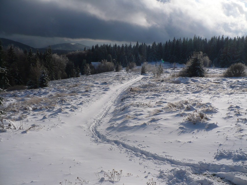img00021.jpg