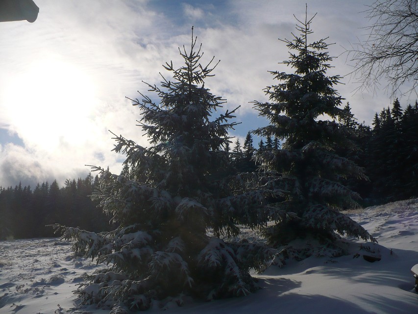 img00023.jpg