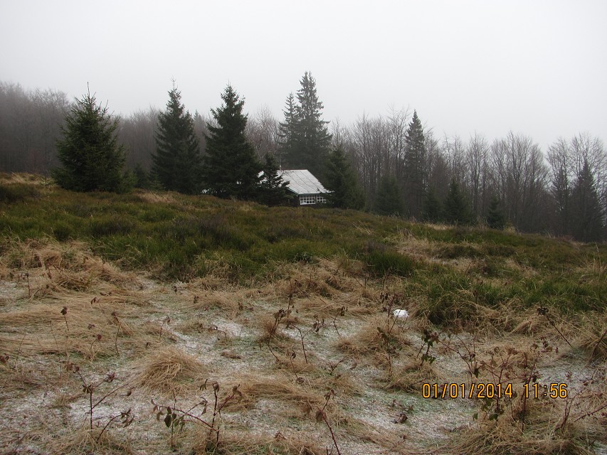 img00007.jpg