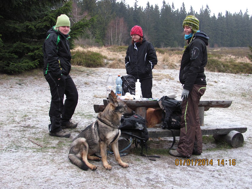 img00038.jpg