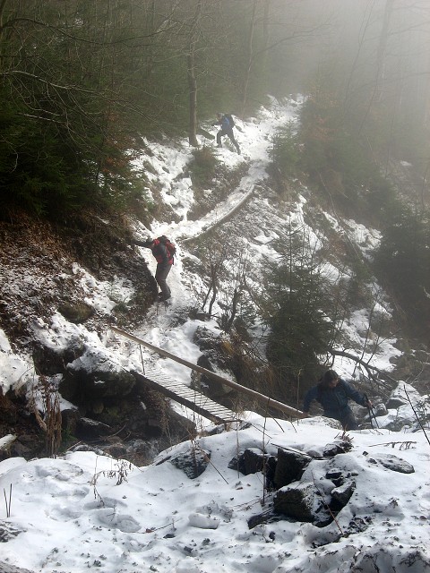 img00002.jpg