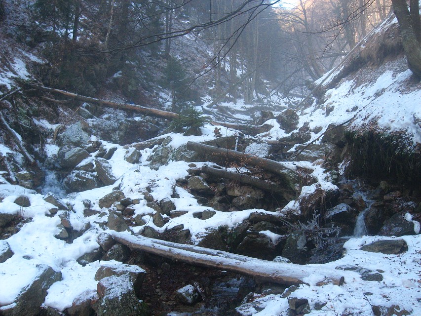 img00003.jpg