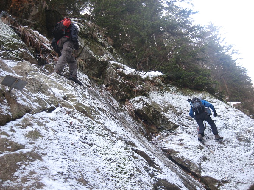 img00006.jpg