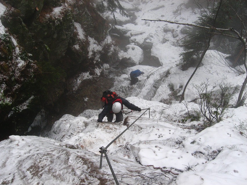 img00017.jpg