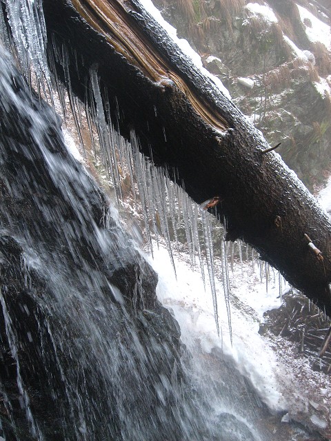 img00020.jpg