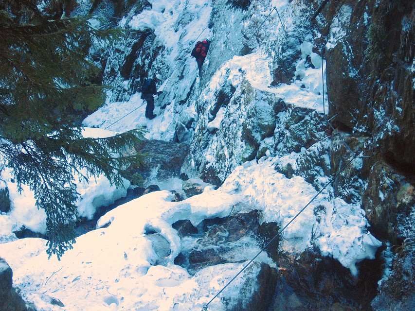 img00022.jpg