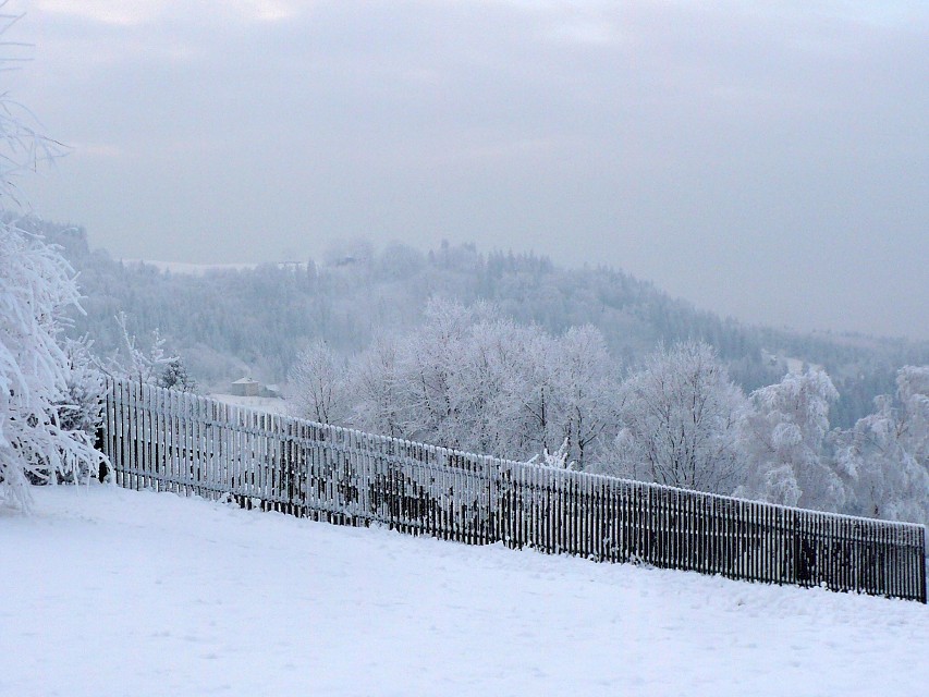 img00006.jpg