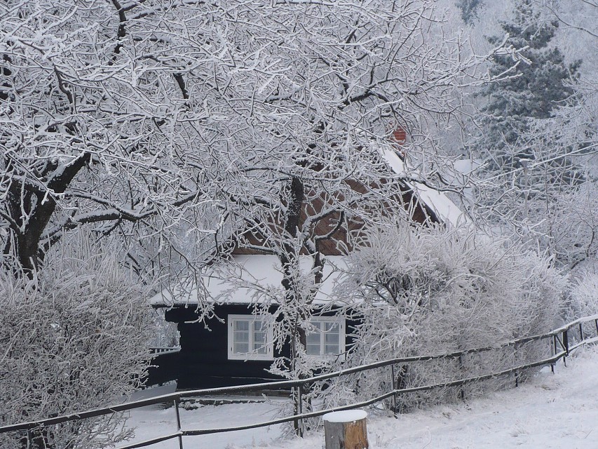 img00007.jpg