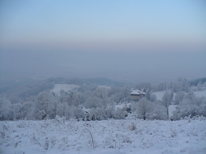 img00010.jpg