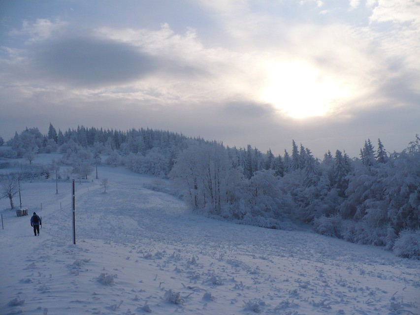 img00011.jpg