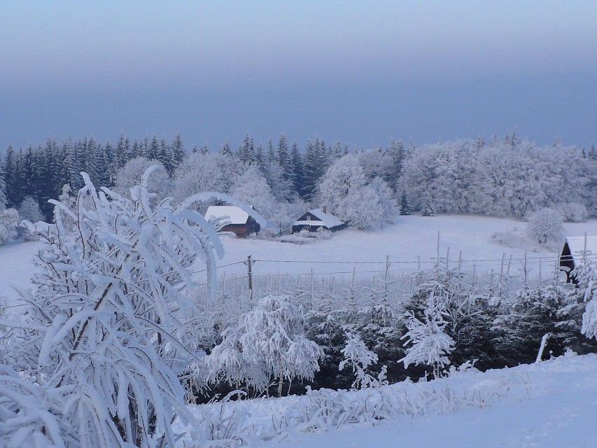 img00014.jpg