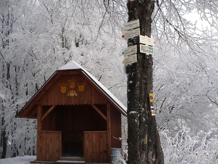 img00027.jpg