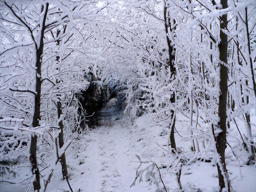 img00028.jpg