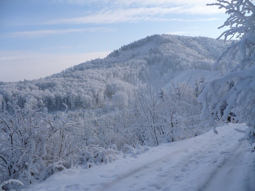 img00029.jpg